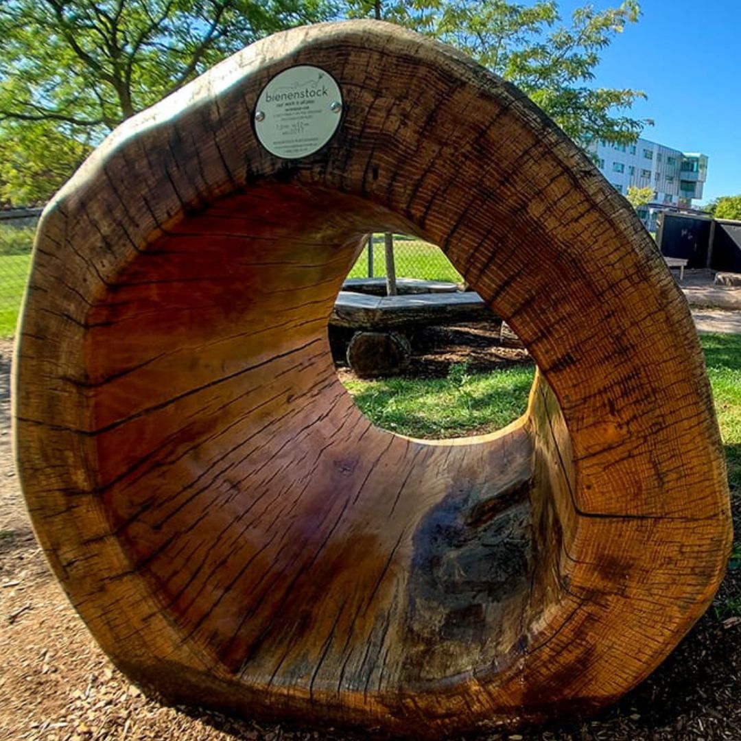 Nature’s Instruments Log Tunnel